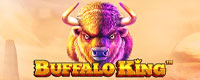 Logo Buffalo King