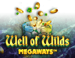logo well-of-wilds megaways